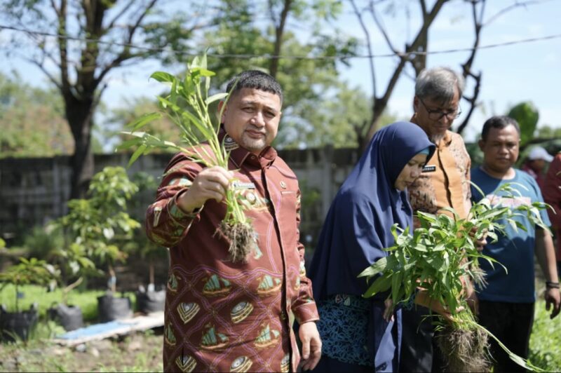 Wali Kota Makassar Dorong Urban Farming.