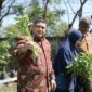 Wali Kota Makassar Dorong Urban Farming.
