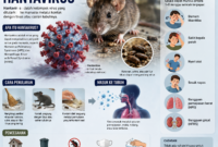 Tanda-Tanda dan Langkah Pencegahan Hantavirus yang Wajib Diketahui.